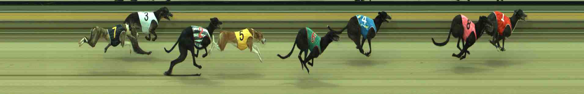 Photo finish for Sale Race 1
