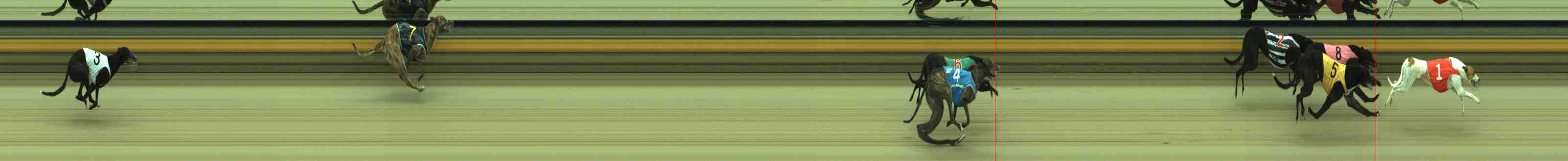 Photo finish for Sale Race 2