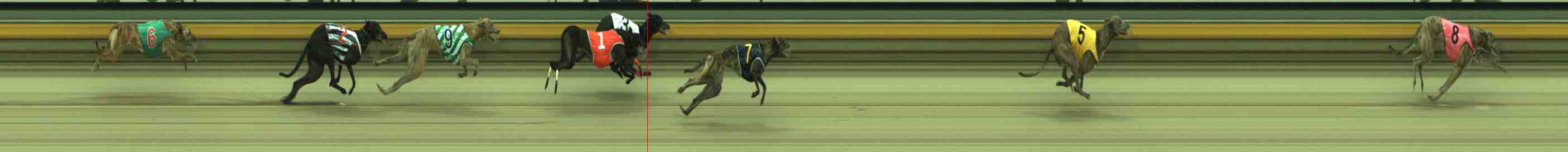 Photo finish for Sale Race 3