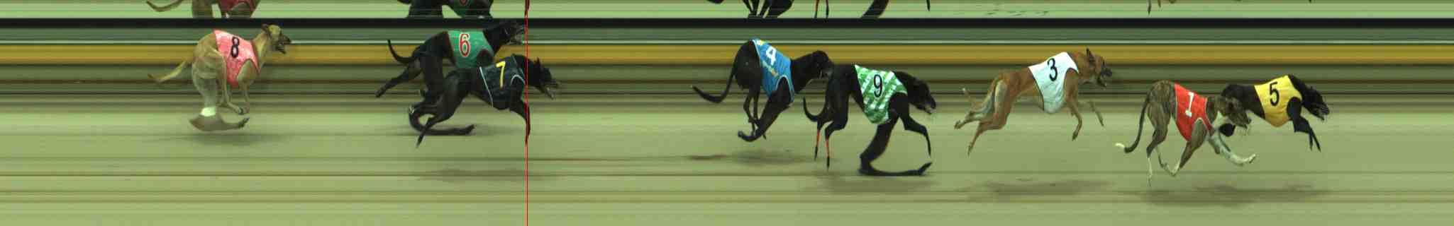 Photo finish for Sale Race 4