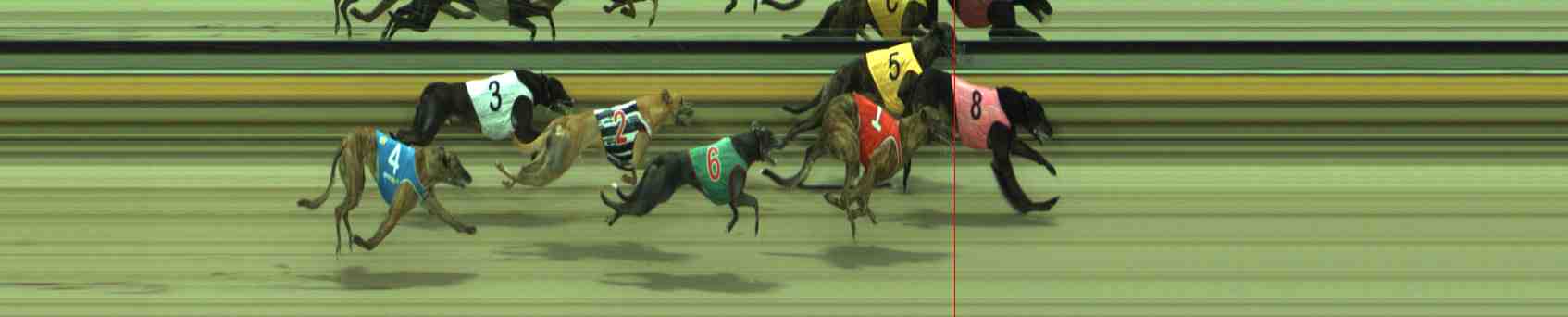 Photo finish for Sale Race 5