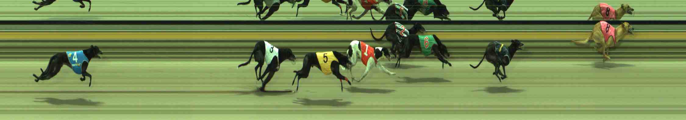 Photo finish for Sale Race 6