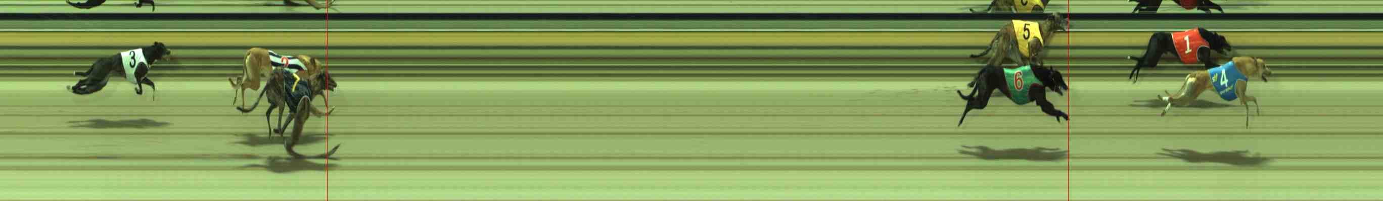 Photo finish for Sale Race 7