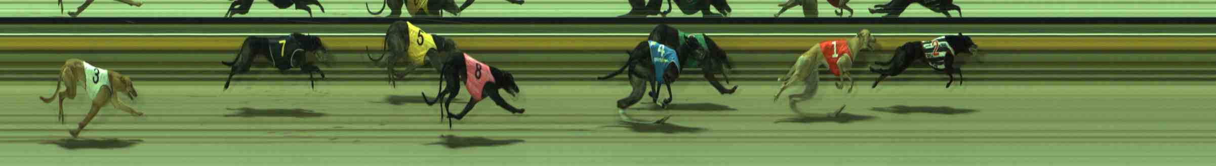 Photo finish for Sale Race 8