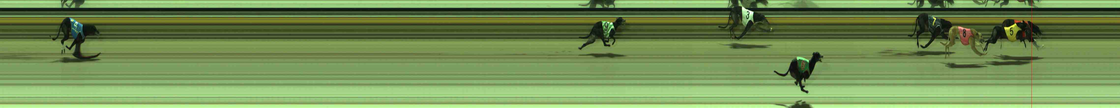 Photo finish for Sale Race 9