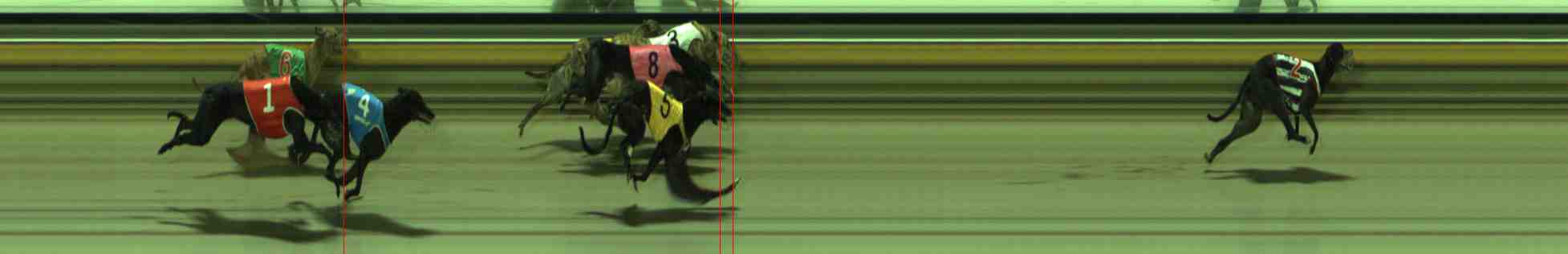 Photo finish for Sale Race 10