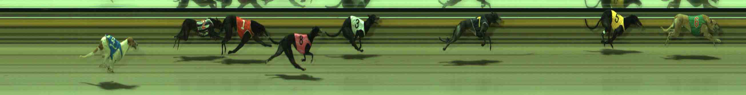 Photo finish for Sale Race 11
