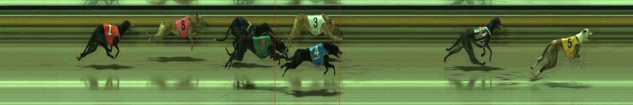 Photo finish for Sale Race 12