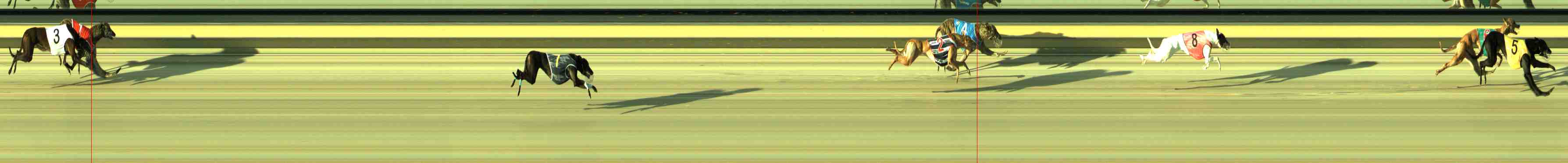 Photo finish for Sale Race 1