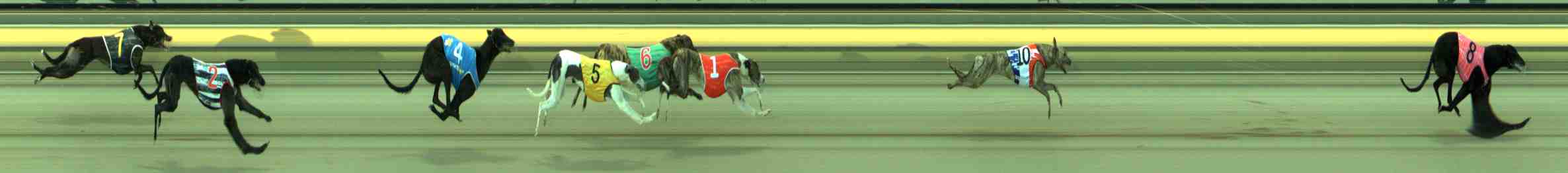 Photo finish for Sale Race 2