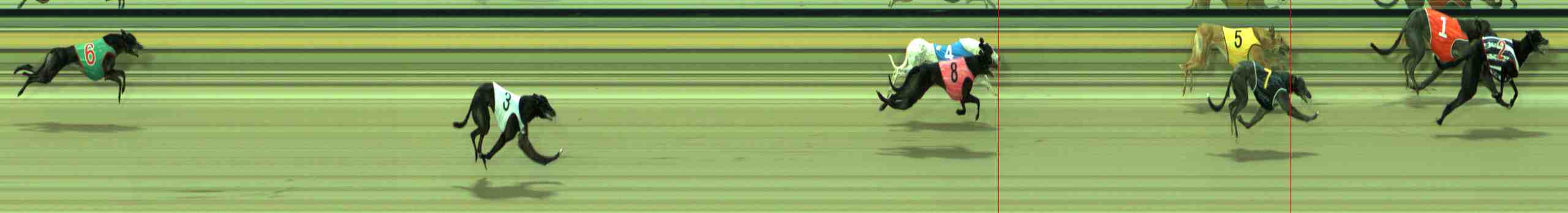 Photo finish for Sale Race 4