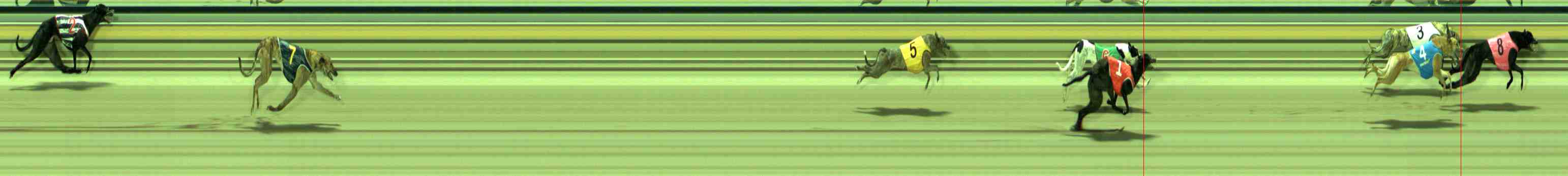 Photo finish for Sale Race 5