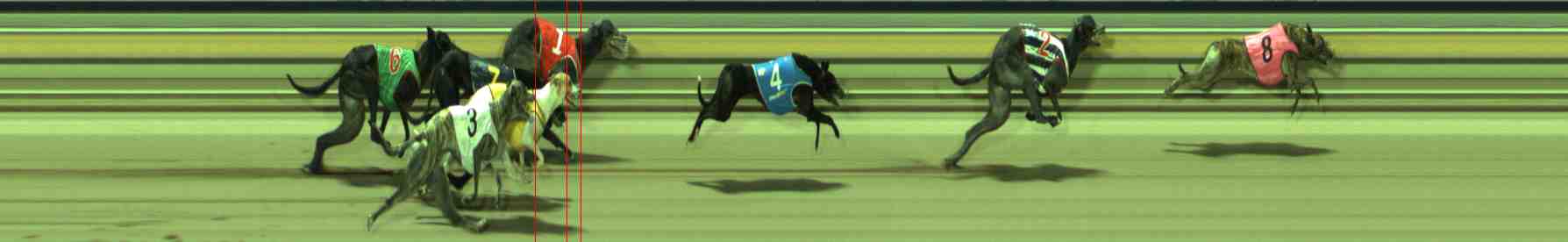 Photo finish for Sale Race 6