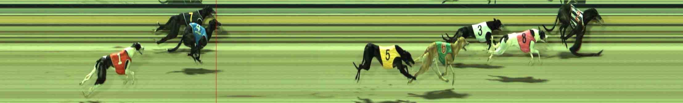 Photo finish for Sale Race 7