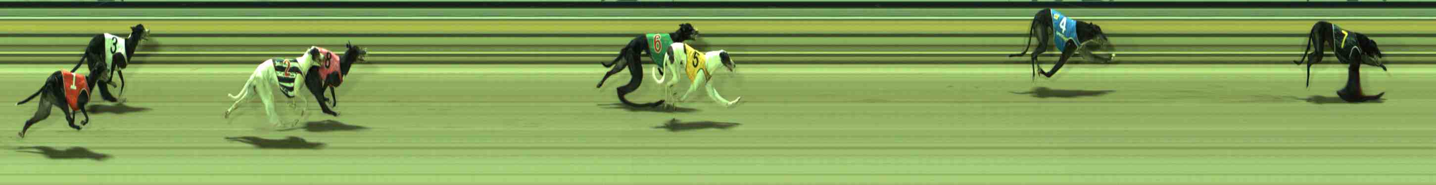 Photo finish for Sale Race 8