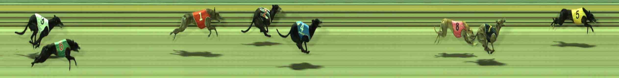 Photo finish for Sale Race 9