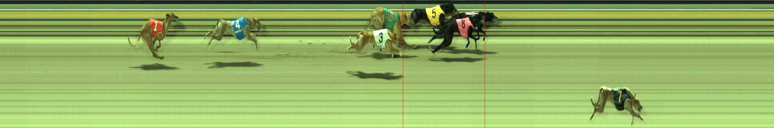 Photo finish for Sale Race 10