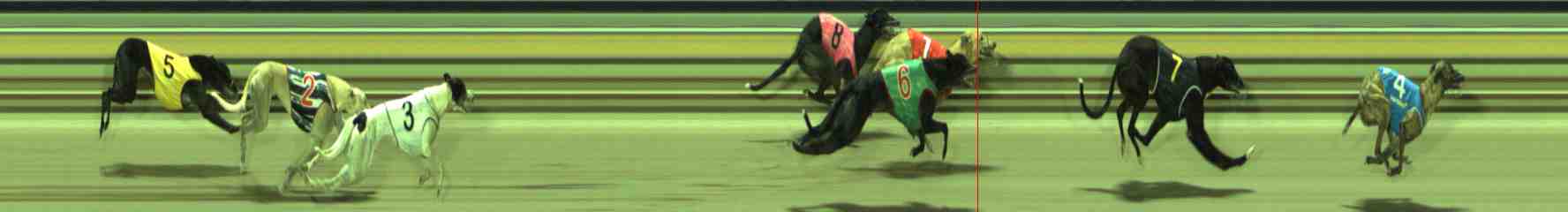Photo finish for Sale Race 11