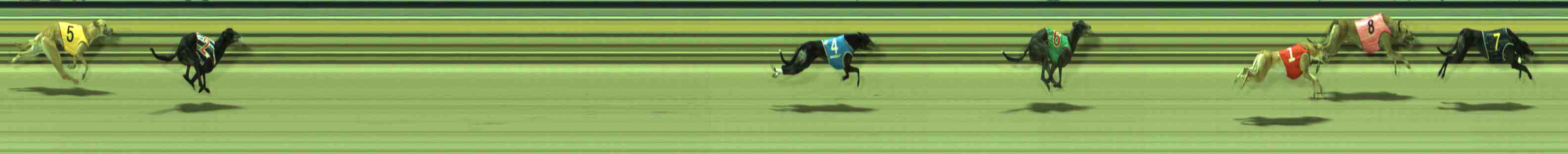 Photo finish for Sale Race 12