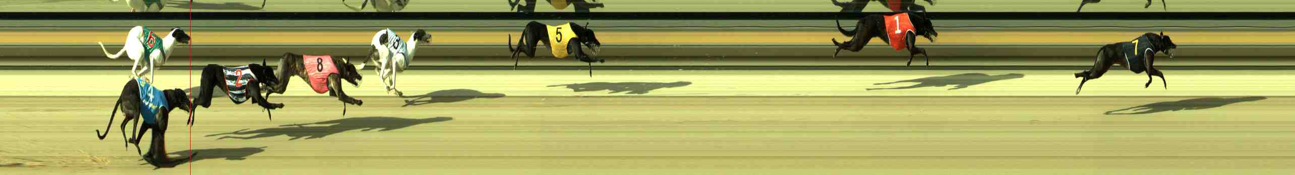Photo finish for Sale Race 1