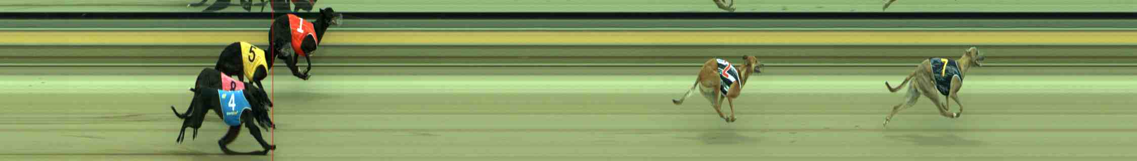 Photo finish for Sale Race 2