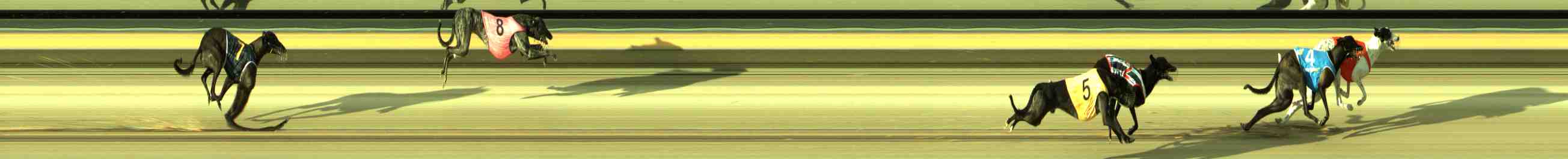Photo finish for Sale Race 3