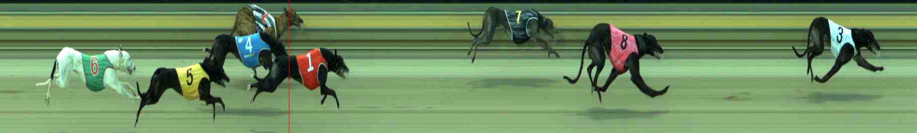 Photo finish for Sale Race 5