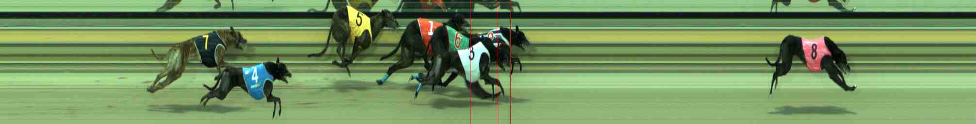 Photo finish for Sale Race 6