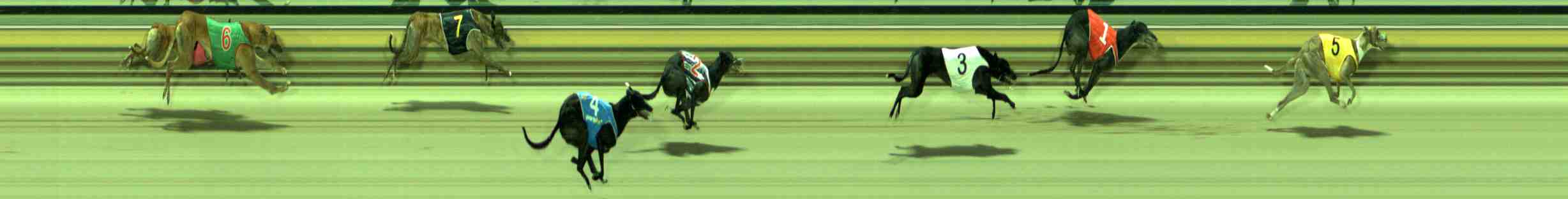 Photo finish for Sale Race 7