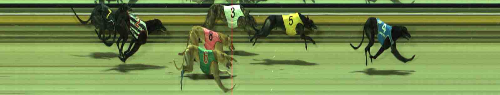 Photo finish for Sale Race 8