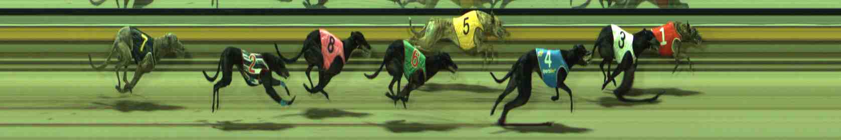 Photo finish for Sale Race 9