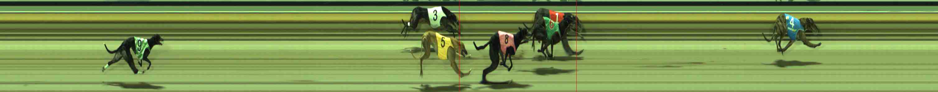 Photo finish for Sale Race 10
