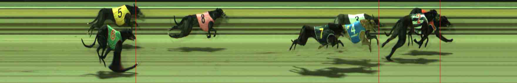 Photo finish for Sale Race 11