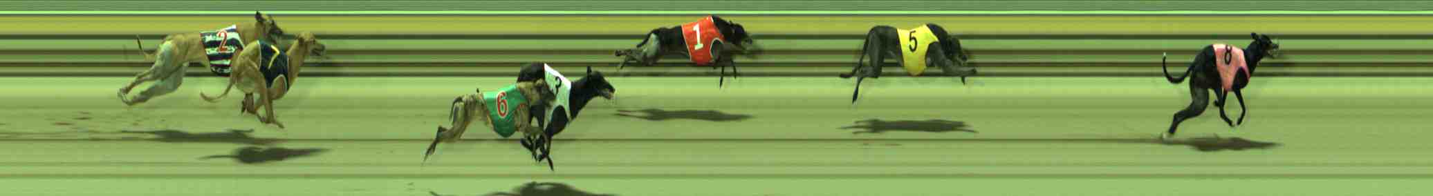 Photo finish for Sale Race 12