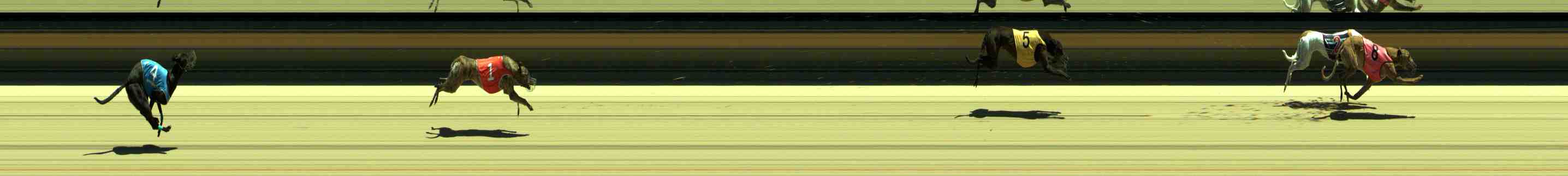 Photo finish for Sale Race 2
