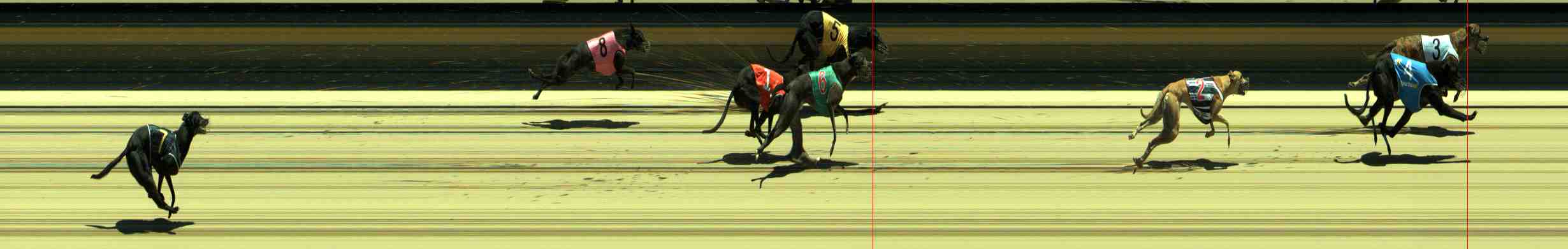 Photo finish for Sale Race 3
