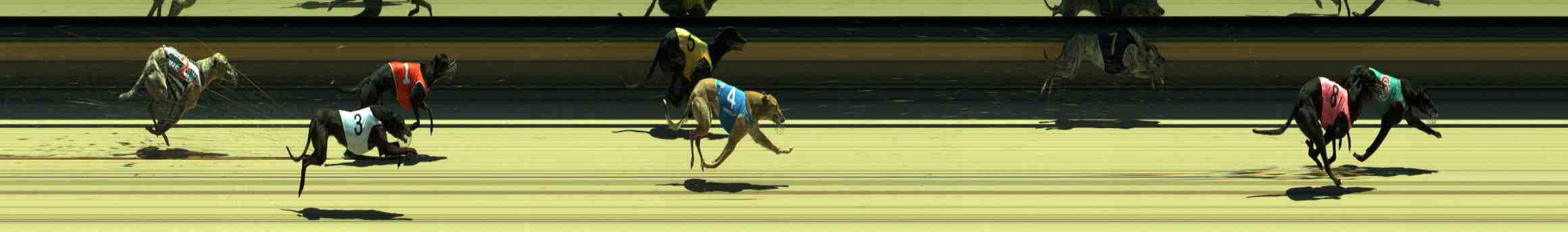 Photo finish for Sale Race 4