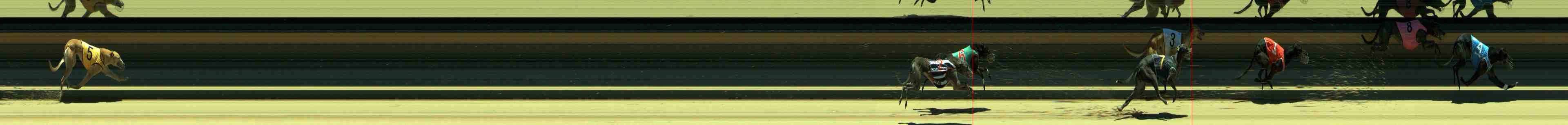 Photo finish for Sale Race 5