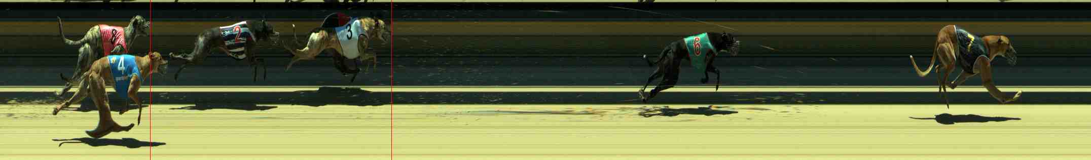 Photo finish for Sale Race 6