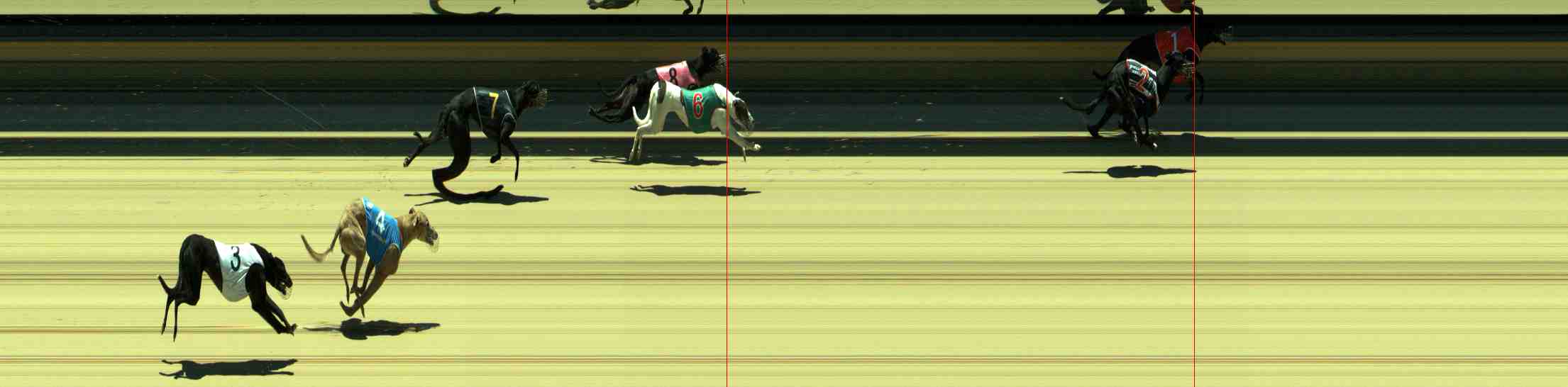 Photo finish for Sale Race 7