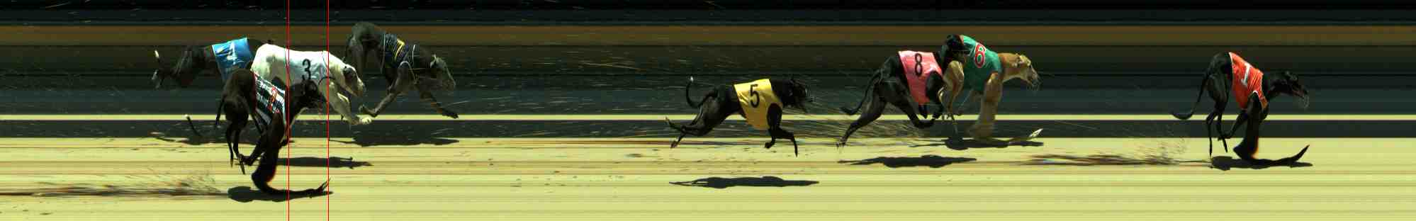 Photo finish for Sale Race 8