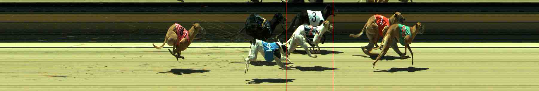 Photo finish for Sale Race 10