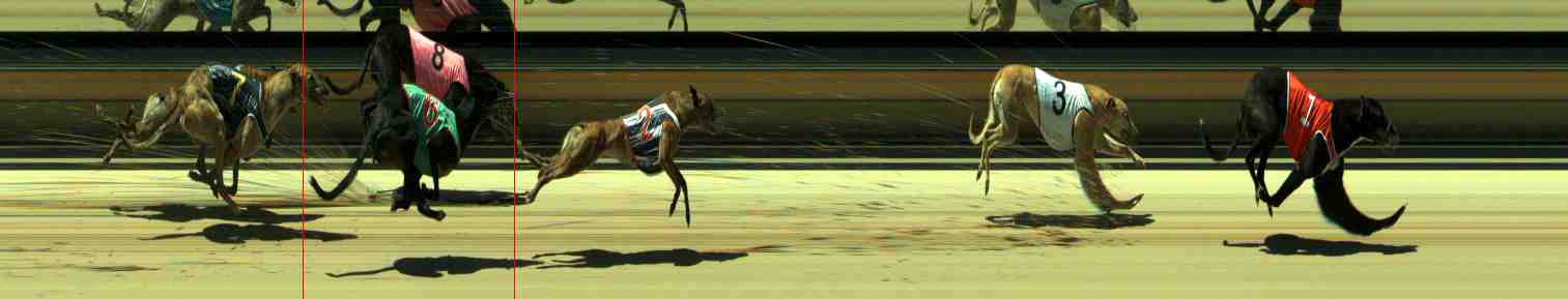 Photo finish for Sale Race 11