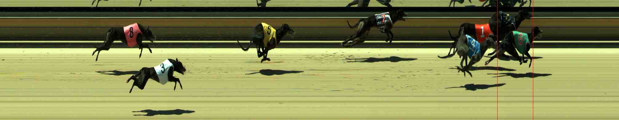 Photo finish for Sale Race 12