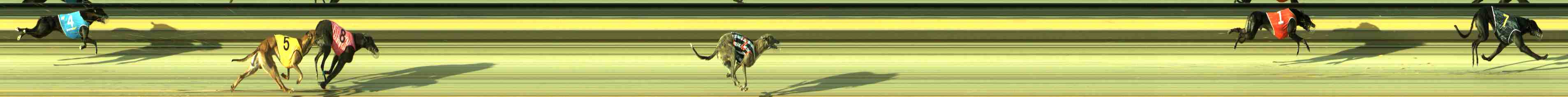 Race result finish photo