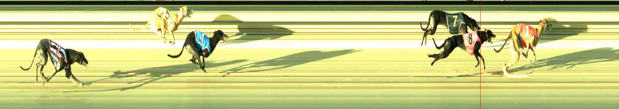 Race result finish photo