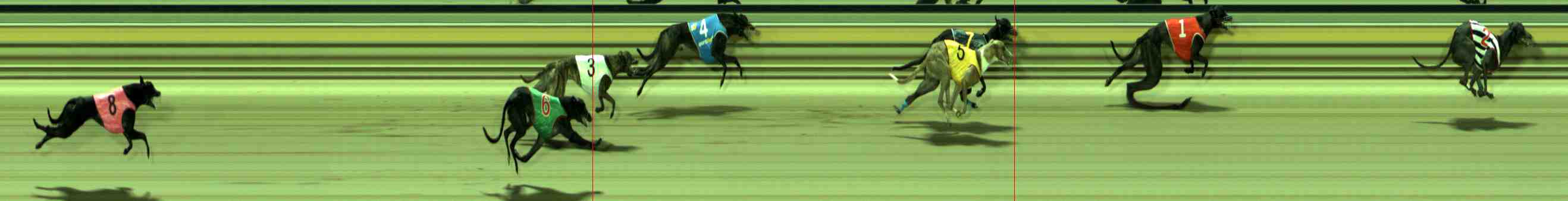 Race result finish photo