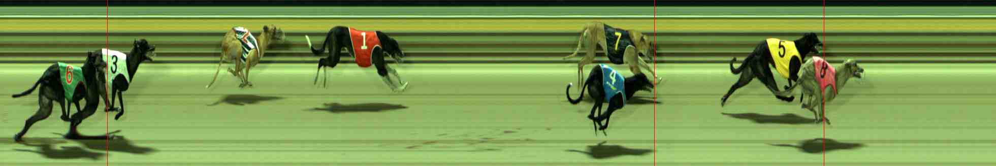 Race result finish photo