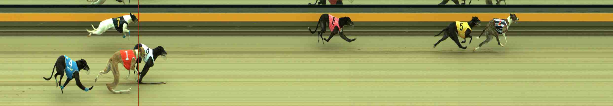 Photo finish for Sale Race 1