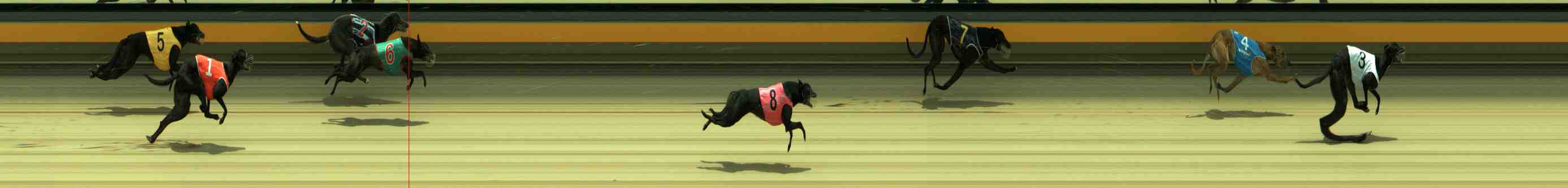 Photo finish for Sale Race 4
